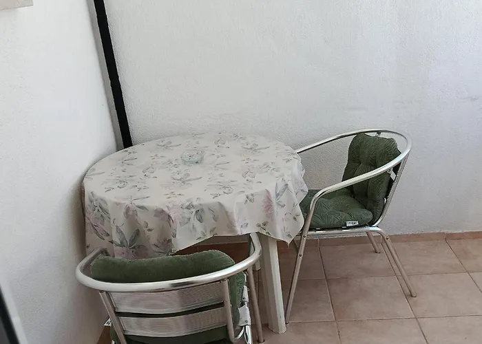 In With Wifi - Csv384 * 피로바츠