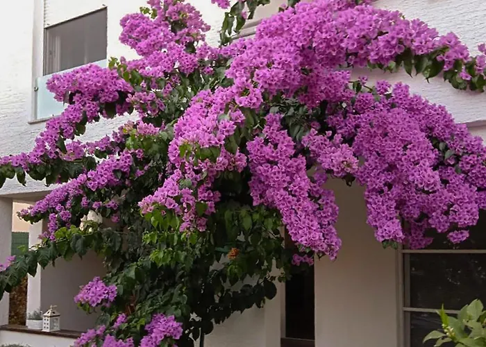 Appartamento In With Wifi - Csv384