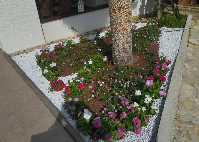 In With Wifi - Csv384 Appartamento *